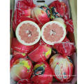 Fresh Honey Pomelo Ping he origin 2021 new crop China fresh pomelo fruit supply with white and red pomelo grapefruit